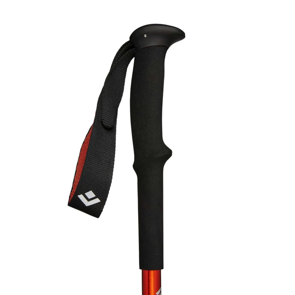 Black Diamond Trail Trek poles