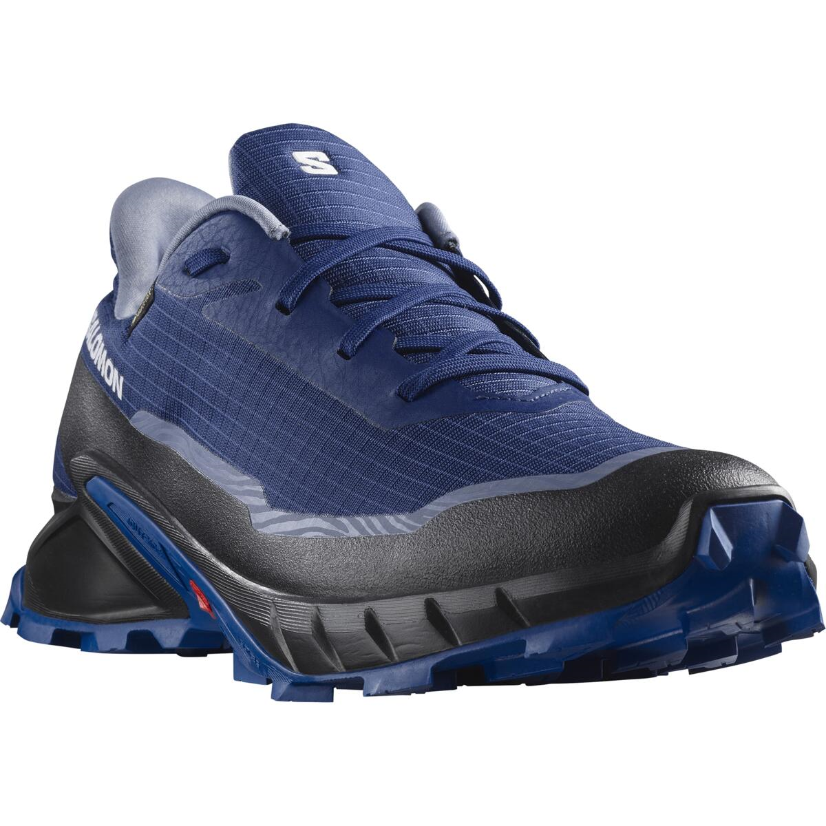 SALOMON shoes Alphacross 5 GTX blue/black