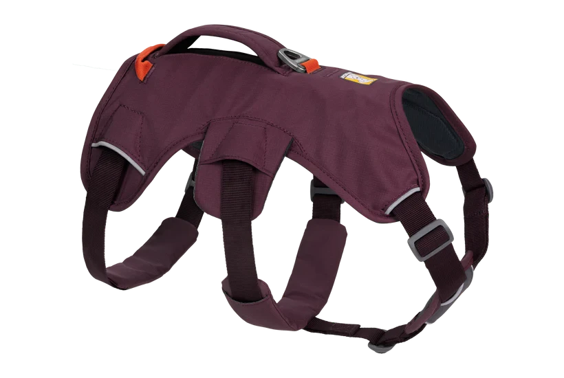 Arnés Ruffwear Web Master™