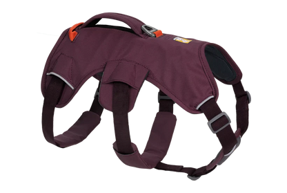 Arnés Ruffwear Web Master™