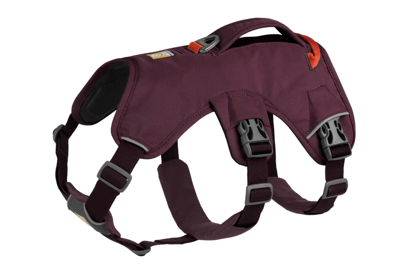 Arnés Ruffwear Web Master™