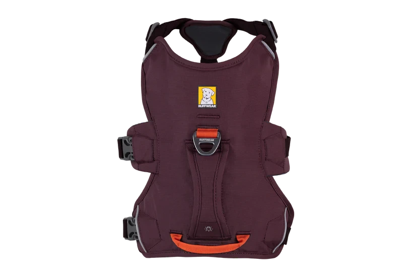 Arnés Ruffwear Web Master™