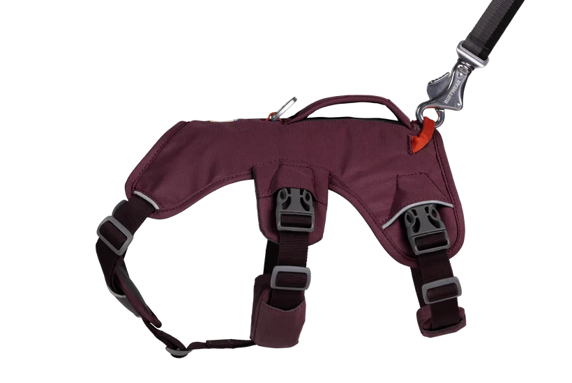 Arnés Ruffwear Web Master™
