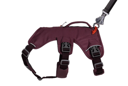 Arnés Ruffwear Web Master™