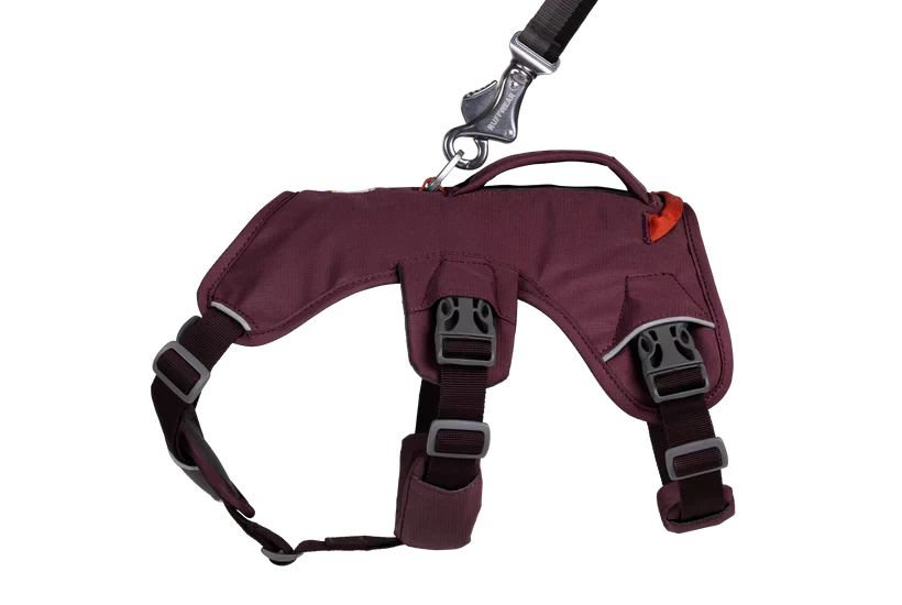 Arnés Ruffwear Web Master™