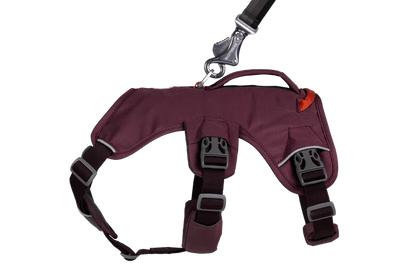 Arnés Ruffwear Web Master™