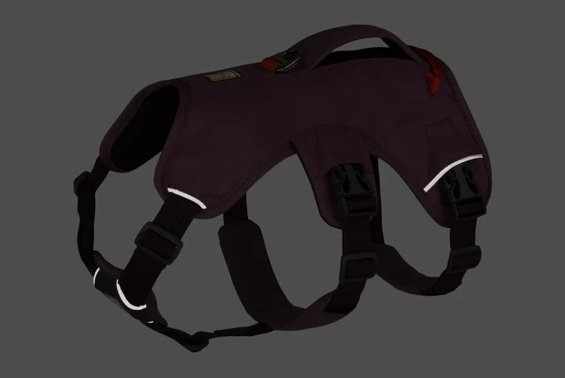 Arnés Ruffwear Web Master™