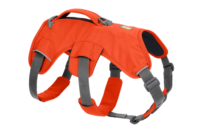 Arnés Ruffwear Web Master™