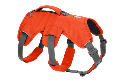 Arnés Ruffwear Web Master™