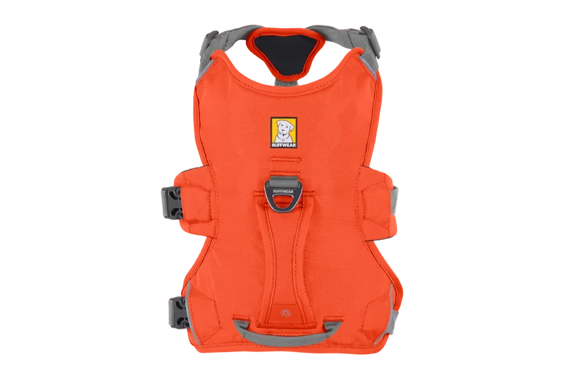 Arnés Ruffwear Web Master™