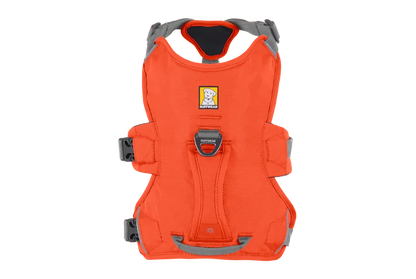 Arnés Ruffwear Web Master™