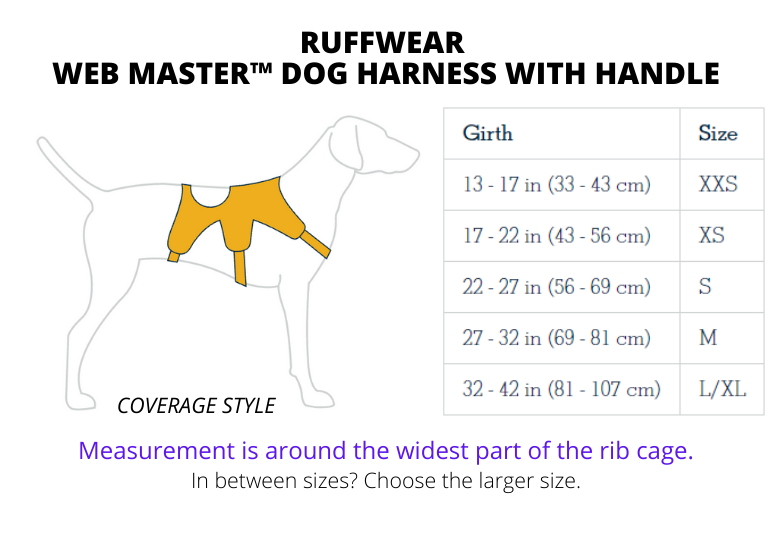 Arnés Ruffwear Web Master™