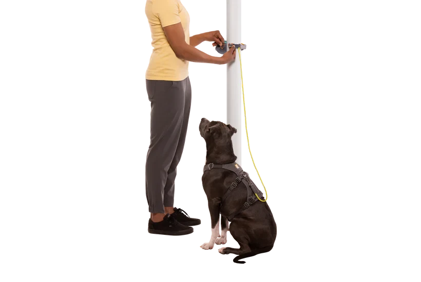 Поводок Ruffwear Hitch Hiker™