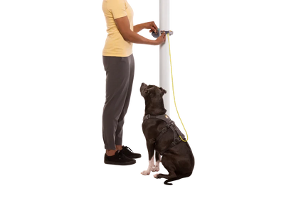 Поводок Ruffwear Hitch Hiker™