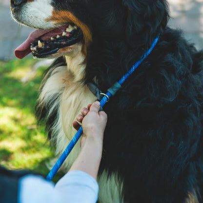 Поводок Ruffwear Just-a-Cinch™