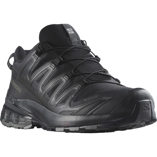 SALOMON обувь XA Pro 3D V9 GTX черный