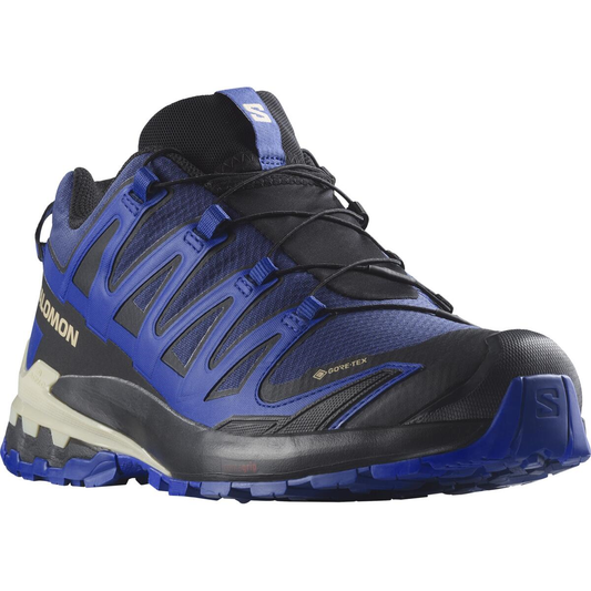 SALOMON обувь XA Pro 3D V9 GTX синий/черный