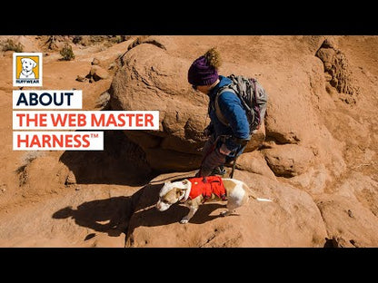 Arnés Ruffwear Web Master™