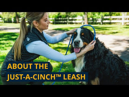 Поводок Ruffwear Just-a-Cinch™