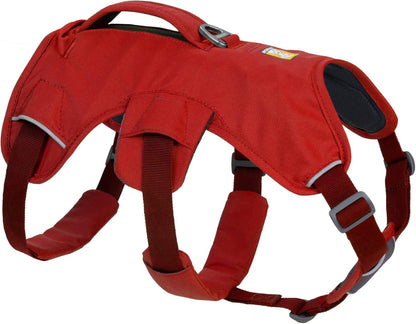 Arnés Ruffwear Web Master™