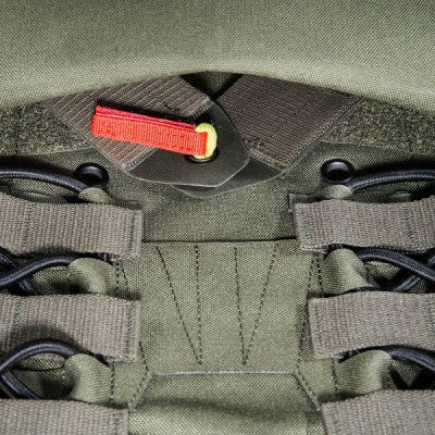 Tasmanian TIGER Plate Carrier MK IV - alanaturaleza.es