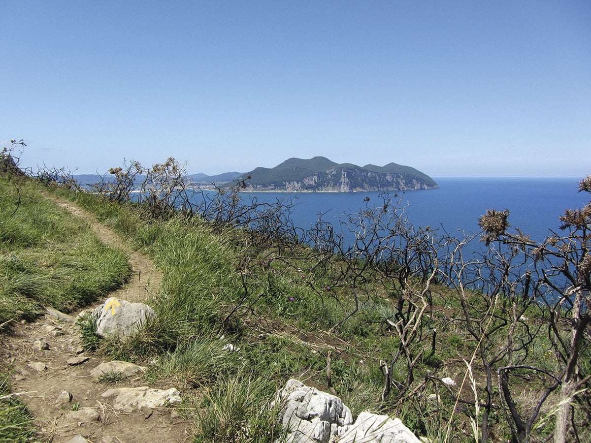 The Camino del Norte and Camino Primitivo To Santiago de Compostela and Finisterre from Irun or Oviedo (ENG) - alanaturaleza.es