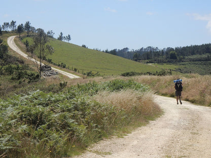 The Camino del Norte and Camino Primitivo To Santiago de Compostela and Finisterre from Irun or Oviedo (ENG) - alanaturaleza.es