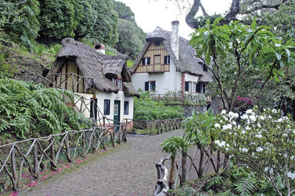 Walking on Madeira (ENG) - alanaturaleza.es